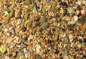 Dry Rodent Food Mix for Mouse, Rabbit or Degu Feed Texture