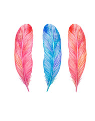 finished image of three bird feathers in pink and blue on a white background, watercolor