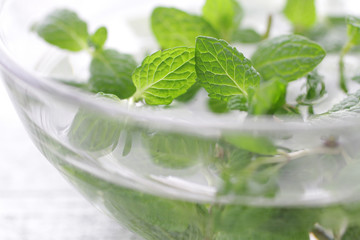 ハーブ系の緑のスペアミント