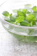 ハーブ系の緑のスペアミント