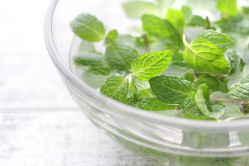 ハーブ系の緑のスペアミント © Free1970