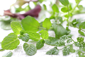 ハーブ系の緑のスペアミント