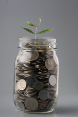 Plant growing on coin glass jar. Concept money saving.