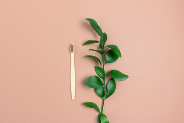 Bamboo toothbrush and ruscus branch. Minimalistic zero waste concept.