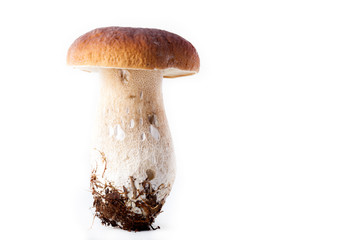 Boletus mushroom (Bolétus edúlis) - autumn harvest of wild mushroom on the light background