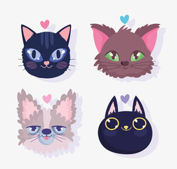 cute faces cats love friendly domestic cartoon animal, collection pets