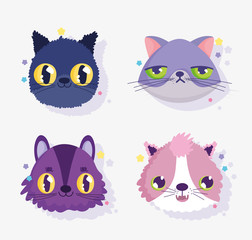 cute faces cats differents gesture domestic cartoon animal, collection pets