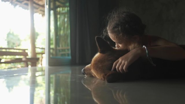 Smiling girl taking free time with her dog. Scratching her back.