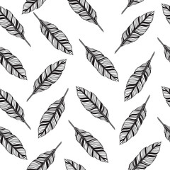Feather Seamless pattern vector Illustration