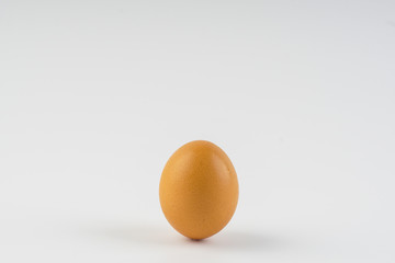 Single brown chicken egg over white background