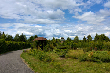 Beautiful view of a young green park in spring or summer on a sunny day.