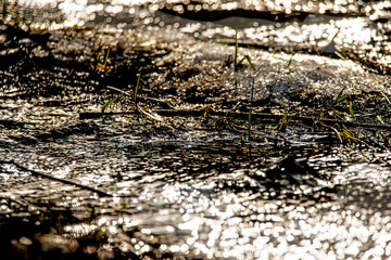  creek in spring in back light with sun reflections