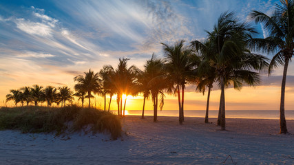Fototapeta na wymiar Palm trees at sunrise with lifeguard hut in Miami Beach, Florida.