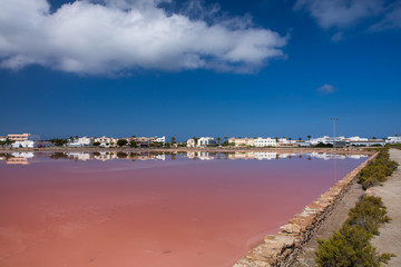 Fototapeta na wymiar Parque Natural de Ses Salines, sus reservas marinas y terrestres. Salineras en Formentera.
