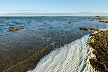 Lake Kamyslybas or Kamyshlybash, large saltwater lake in the Kyzylorda Region, Kazakhstan. foam and seaweed on the shore