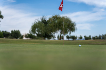 Obraz premium Gold course with a white golf ball