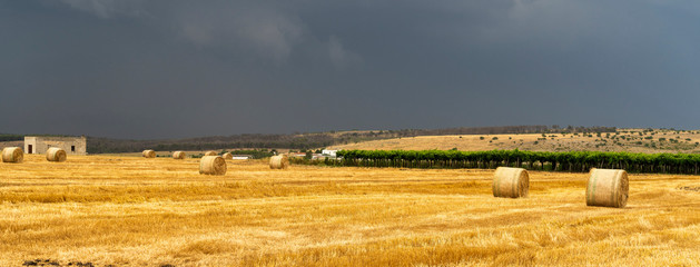 Rural landscape in Apulia at summer