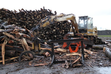 Hoist engine for the warming wood industry