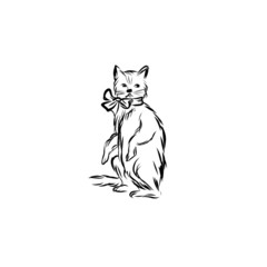 Fototapeta na wymiar Graphic cat, pet, man’s four-legged friend, hand drawn graphic, line art, animal