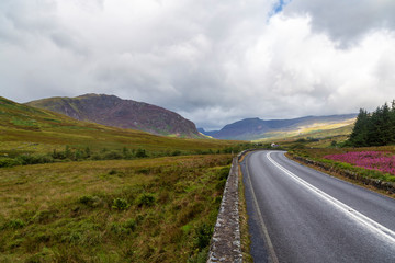 Snowdon National Park Roadside