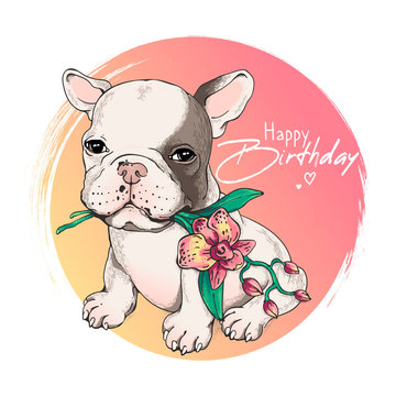  Cute french bulldog puppy with orchid. Happy birthday greeting card