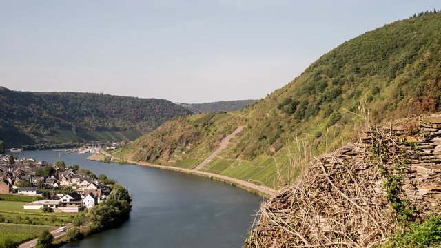 Mosel