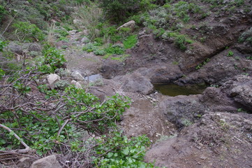 Roque Bermejo Gorge in the north of Tenerife