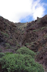 Roque Bermejo Gorge in the north of Tenerife