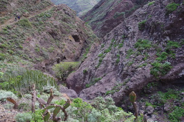 Roque Bermejo Gorge in the north of Tenerife