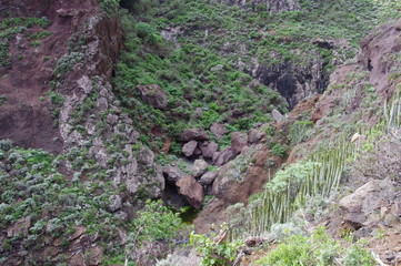 Roque Bermejo Gorge in the north of Tenerife