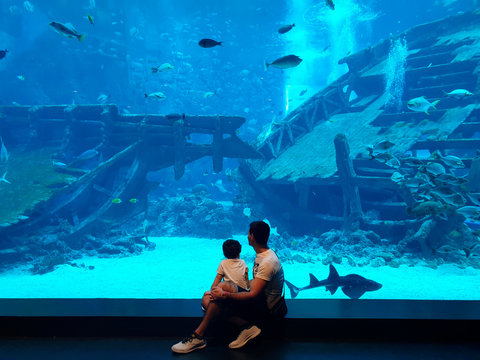 Padre e figlio all'acquario