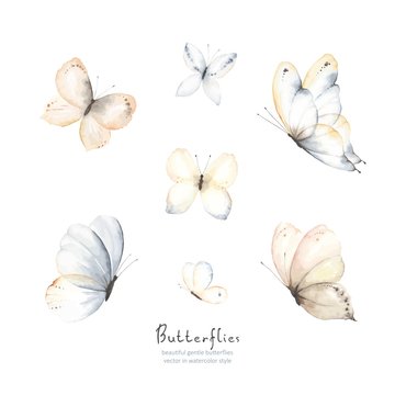 Set of flying gentle butterflies blue, beige, brown and indigo colors. Vector illustration in vintage watercolor style. Template for your design.
