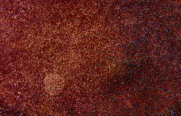 abstract macro image of coronavirus in blood and petri dish