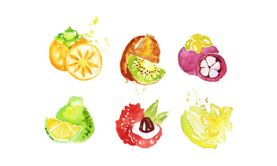 Juicy Ripe Tropical Fruit Collection, Persimmon, Mangosteen, Kiwi, Pomelo, Lychee, Carambola Watercolor Hand Painting Vector Illustration