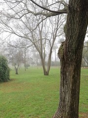 Alquería Park a foggy day