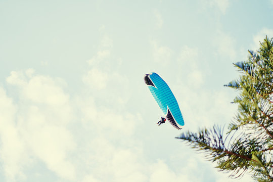 Paraplane on the blue sky background, leisure activity.