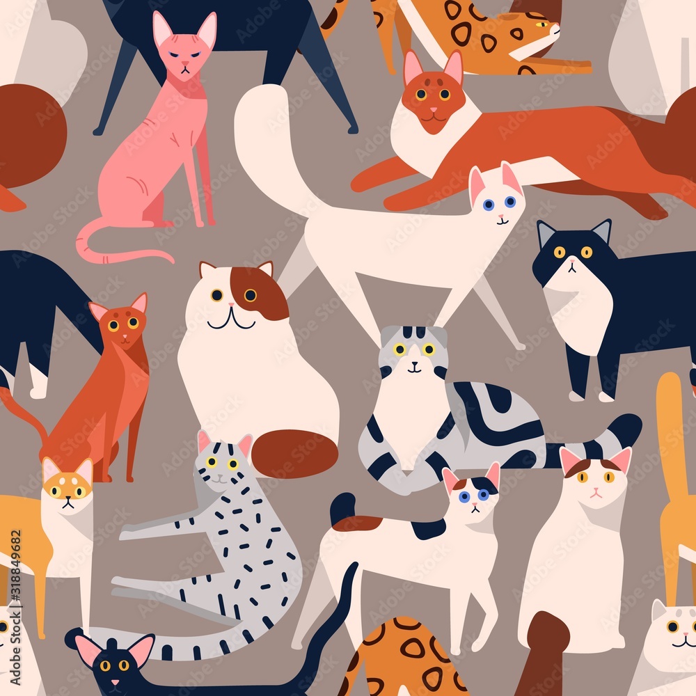 Poster seamless colored pattern with different cat breeds flat illustration. creative decorative background