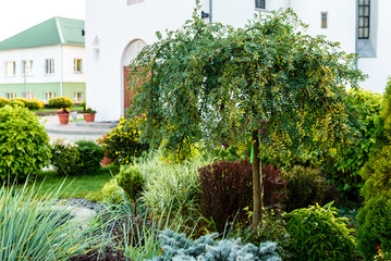  Flower beds in the city.