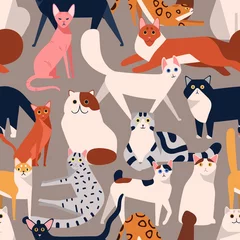 Fototapete Katzen Nahtloses farbiges Muster mit flacher Illustration der verschiedenen Katzenrassen. Kreativer dekorativer Hintergrund mit dem verschiedenen Haustiervektor lokalisiert auf Grau. Lustiges süßes Haustier