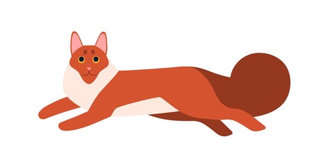 Colored cartoon running Maine Coon cat vector flat illustration