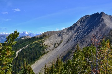 Gray mountain, green bushes, mountain range near city Golden, Canada. Sunny day, blue sky in Canadian Rockies.