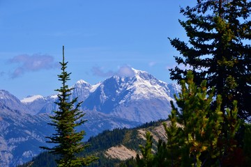 High mountains of Yoho National park, Canadian Rockies. Forest in the foreground, blue sky, suny...