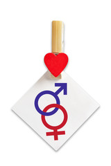 Symbol of female and male on white paper attached with a clothespin with a red heart. Isolated on a white background