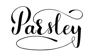 Vector hand written parsley text isolated on white background. Kitchen healthy herbs and spices for cooking. Script brushpen lettering with flourishes. Handwriting for banner, poster, product label