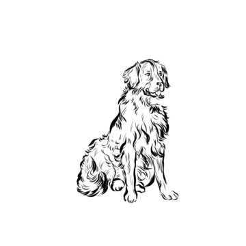 recommend clip art: Graphic dog, single pet, man’s four-legged friend, hand drawn graphic, line art, animal icon in minimalism styleadorable, animal, art, black, breed, canine, cartoon, character, collection, contour, cu