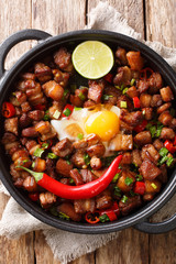 Sisig is a Kapampangan dish made from parts of pig’s head and liver then seasoned with soy sauce, calamansi juice, and chili peppers. vertical top view