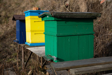 Sunny winter, wintering bees on an apiary, Small apiary