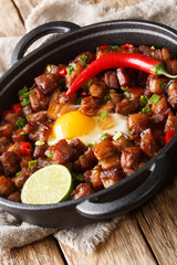 Sisig is a popular Filipino dish. It is composed of pork, chopped onion, and chicken liver close-up in a pan. vertical
