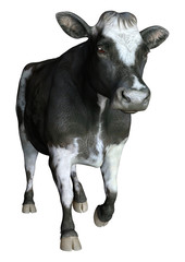 3D Rendering Cow on White