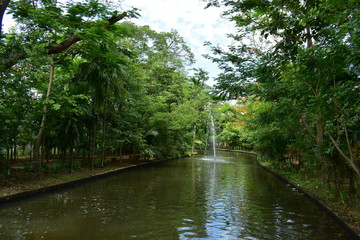 landscape of public park in the morning with view of water small pond